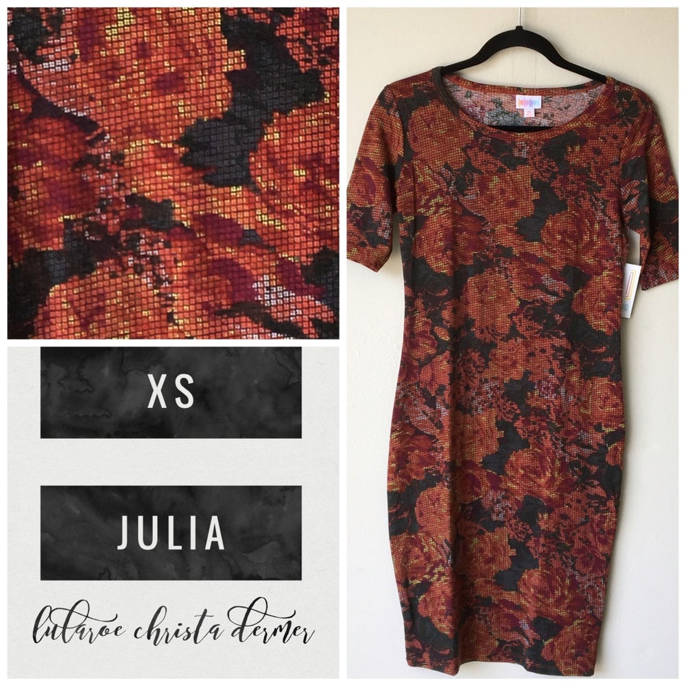 NWT Lularoe Julia Dress